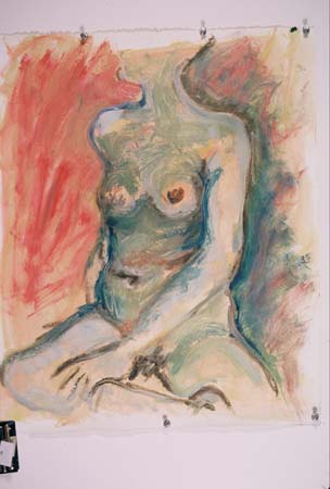 Torso