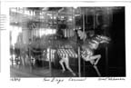 106_sandiegocarousel
